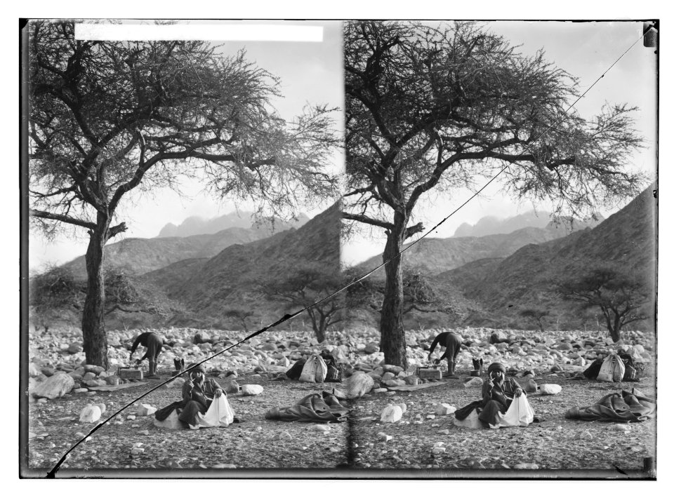 To Sinai via the desert. Jebel Serbal from Wady Feiran. LOC matpc.01966