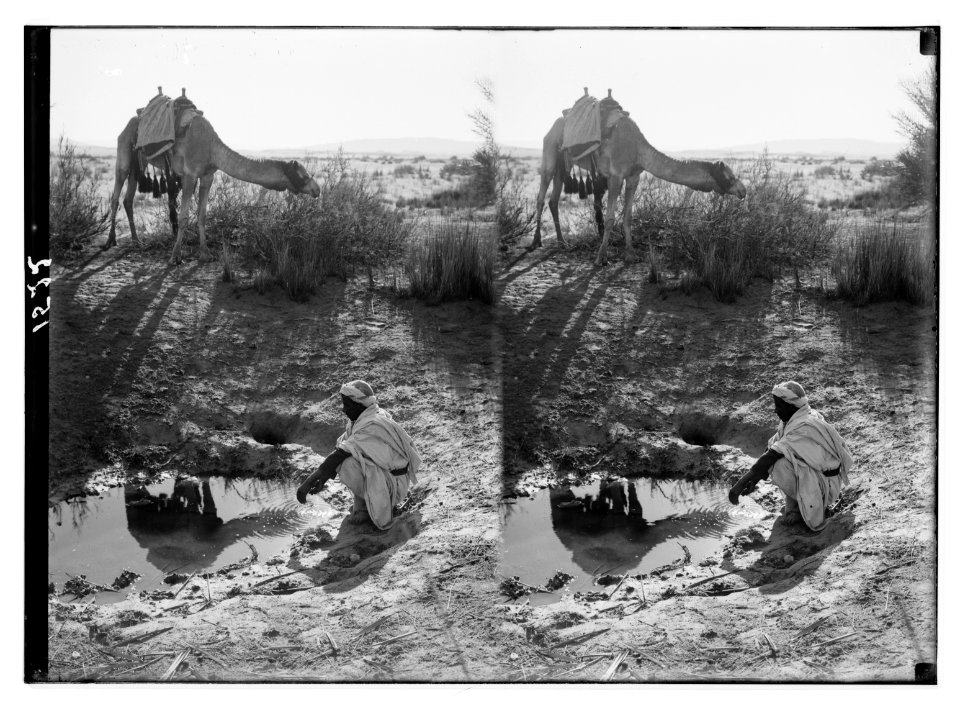 To Sinai via the desert. Bitter spring in Wady Taiybeh. LOC matpc.01948