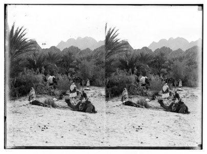 To Sinai via the desert. Wady Feiran and Jebel Serbal. LOC matpc.01967