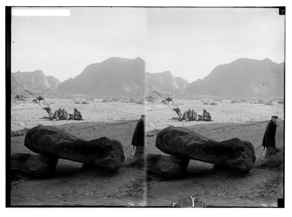 To Sinai via the desert. Wady Mokattab. LOC matpc.01959