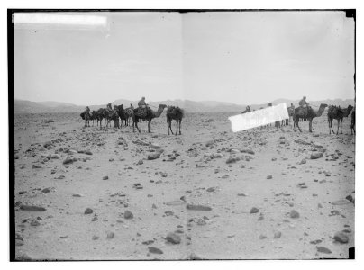 To Sinai via the desert. The wilderness of sin. LOC matpc.01953