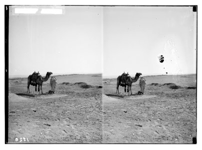 To Sinai via the desert. Wilderness of Shur. LOC matpc.01946