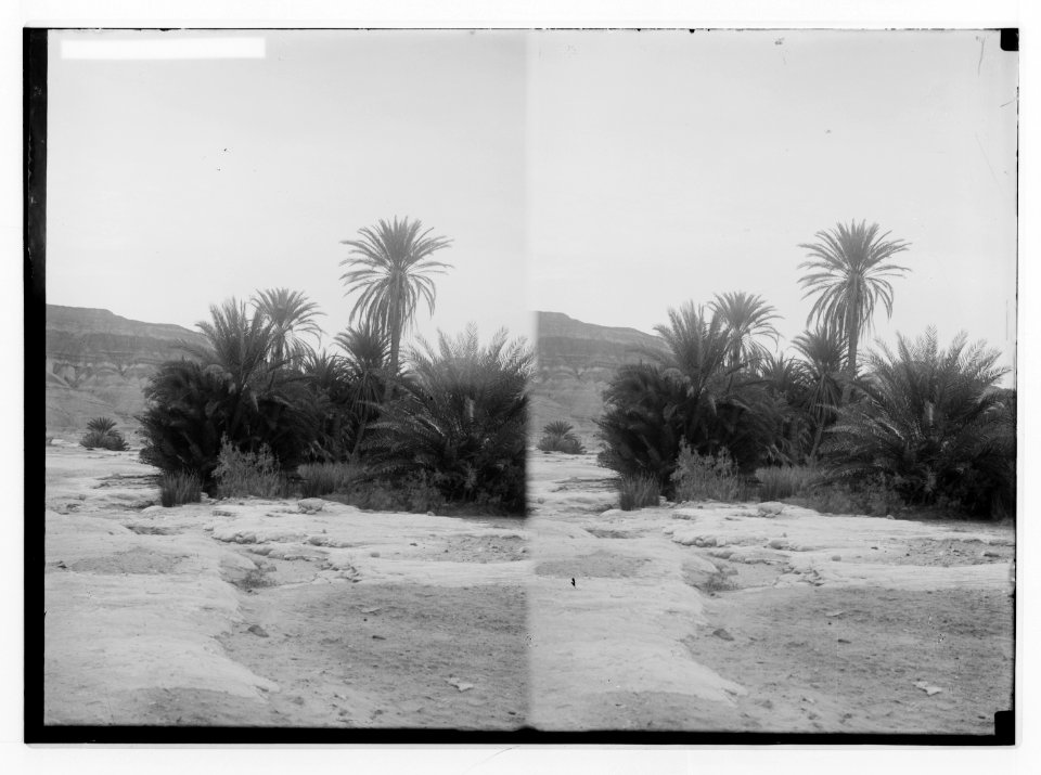 To Sinai via the desert. Wady Taiybeh. LOC matpc.01952