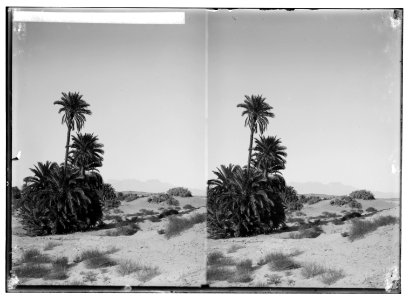 To Sinai via the Red Sea, Tor, and Wady Hebran. Distant view of Jebel Serbal from el-Wad. LOC matpc.01983
