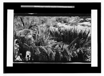 To Sinai via the Red Sea, Tor, and Wady Hebran. Enclosure where the dates are dried. LOC matpc.02094