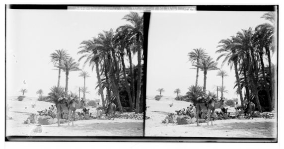 To Sinai via the Red Sea, Tor, and Wady Hebran. Halt at the wells of el-Wad. LOC matpc.01980
