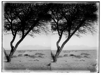 To Sinai via the Red Sea, Tor, and Wady Hebran. Jebel Serbal seen from el-Kaa. LOC matpc.01988