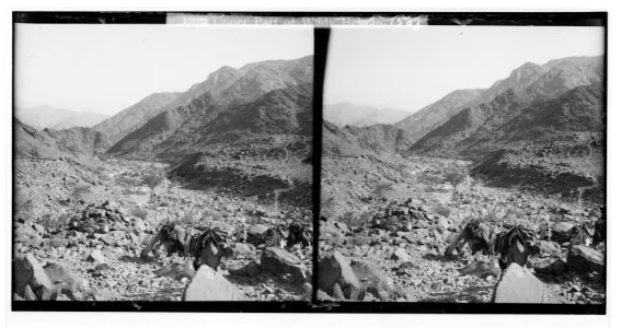 To Sinai via the Red Sea, Tor, and Wady Hebran. Narrow defile at the watershed of Wady Hebran. LOC matpc.01996