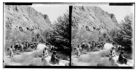To Sinai via the Red Sea, Tor, and Wady Hebran. Oasis in Wady Isleh. LOC matpc.02116