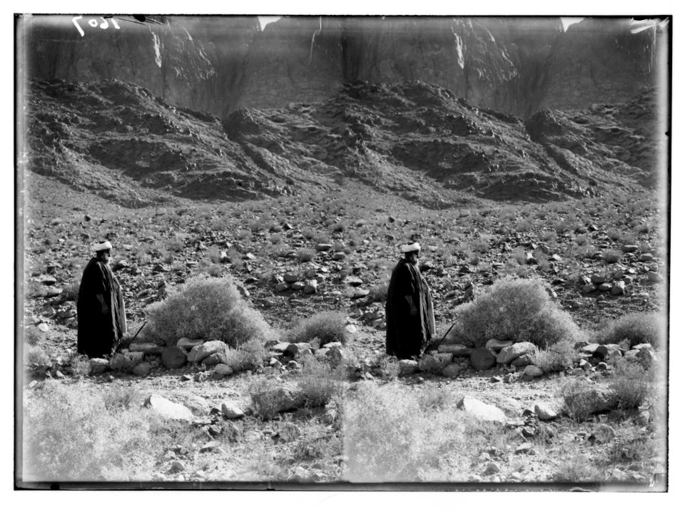 To Sinai via the Red Sea, Tor, and Wady Hebran. Old Bedouin standing by a silleh bush. LOC matpc.02012