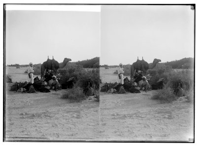 To Sinai via the Red Sea, Tor, and Wady Hebran. Preparing for a night's camp in Wady el-A'awaj. LOC matpc.01985