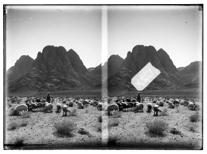To Sinai via the Red Sea, Tor, and Wady Hebran. Shepherds with flocks before Mount Sinai. LOC matpc.02009