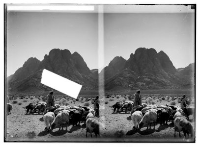 To Sinai via the Red Sea, Tor, and Wady Hebran. Shepherds and flocks before Mount Sinai. LOC matpc.02010