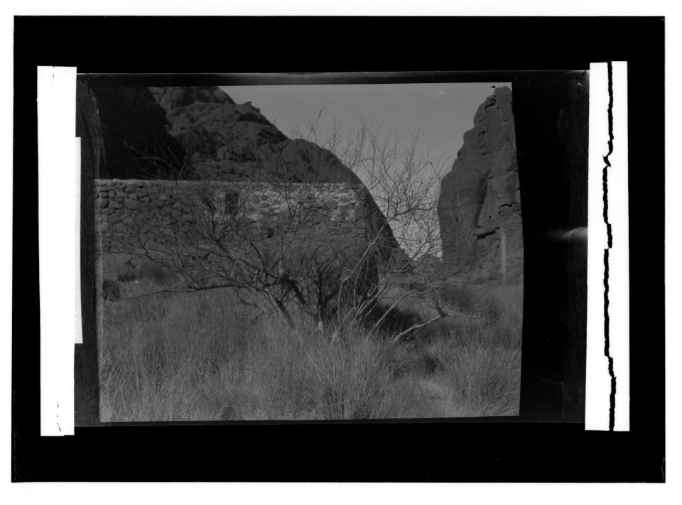 To Sinai via the Red Sea, Tor, and Wady Hebran. The willow of Ras Safsaf. LOC matpc.02077