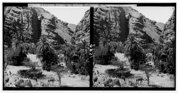 To Sinai via the Red Sea, Tor, and Wady Hebran. Oasis of Ardesiat in Wady Hebran. LOC matpc.01991