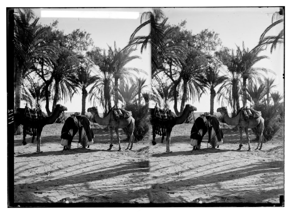To Sinai via the Red Sea, Tor, and Wady Hebran. Sinai salutation among the men. LOC matpc.02114