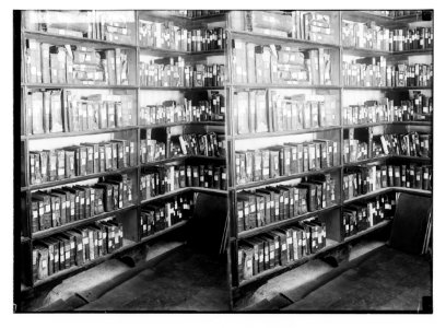 To Sinai via the Red Sea, Tor, and Wady Hebran. The famous library (Monastery of St. Catherine). LOC matpc.02051