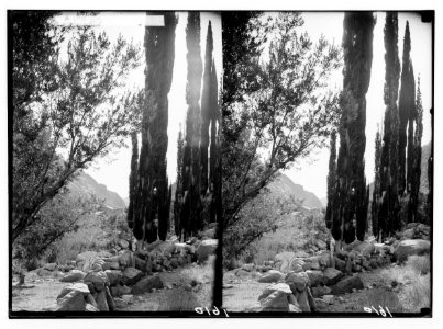 To Sinai via the Red Sea, Tor, and Wady Hebran. The picturesque Wady Lejah. LOC matpc.02015