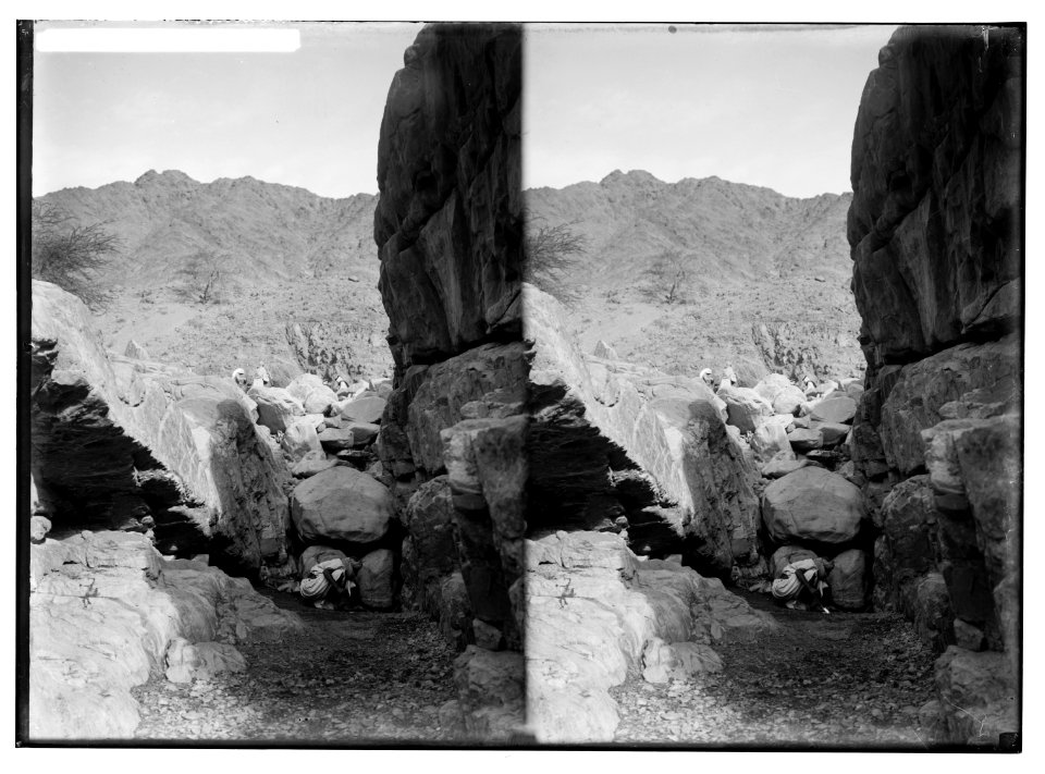 To Sinai via the Red Sea, Tor, and Wady Hebran. Spring of el-Wataieh. LOC matpc.01995