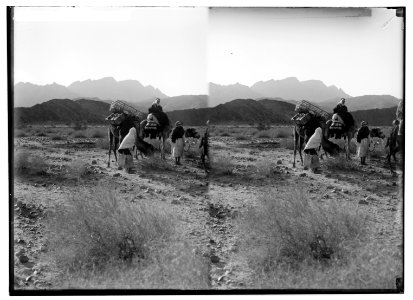 To Sinai via the Red Sea, Tor, and Wady Hebran. Scene in Wady Dhese. LOC matpc.02000
