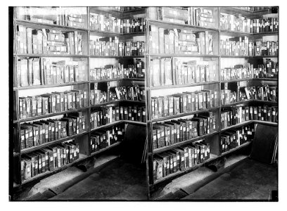 To Sinai via the Red Sea, Tor, and Wady Hebran. The famous library (Monastery of St. Catherine). LOC matpc.02051