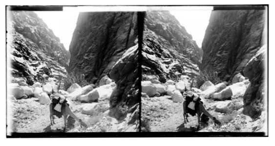 To Sinai via the Red Sea, Tor, and Wady Hebran. Ravine in Wady Isleh. LOC matpc.02117