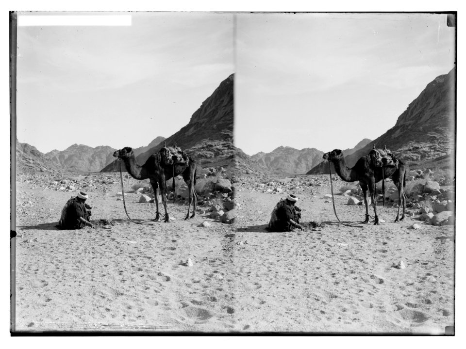 To Sinai via the Red Sea, Tor, and Wady Hebran. Wady Esh-Sheikh. LOC matpc.02018
