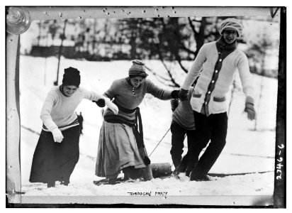 Toboggan party LCCN2014690024