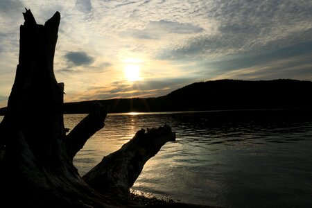 Dusk evening silhouette photo