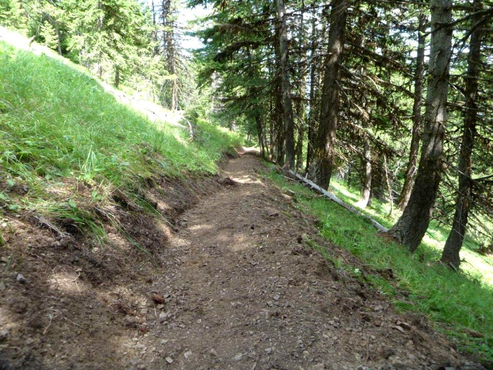 Todd Springs Trail Work, 2012 (26921910468)