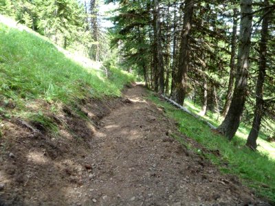 Todd Springs Trail Work, 2012 (26921910468)