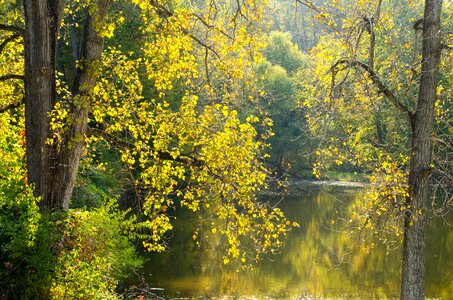 Water landscape green photo