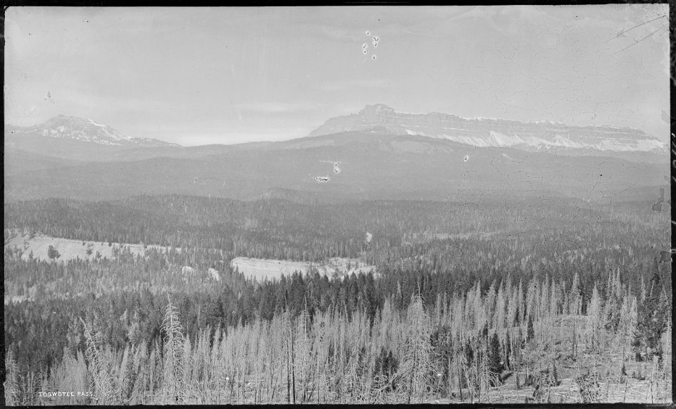 Togwotee Pass, Wyoming - NARA - 517199