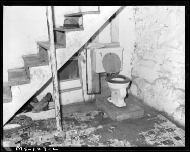 Toilet in basement of home of George Kossi, who lives in company housing project. Industrial Collieries Corporation... - NARA - 540288