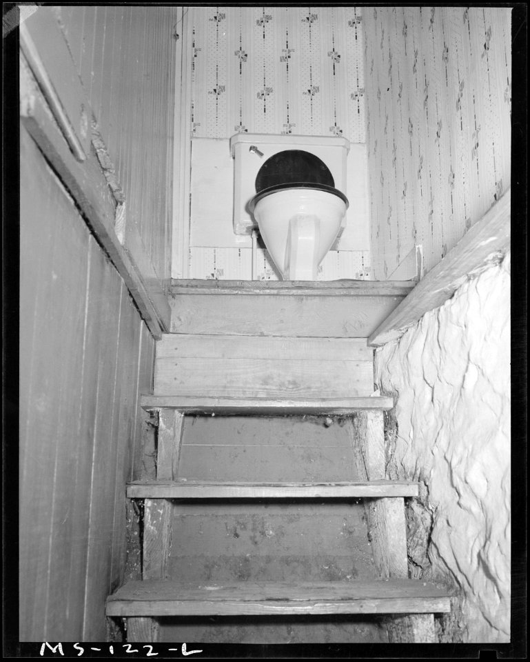 Toilet at head of stairs leading from basement in vacant house of company housing project. Industrial Collieries... - NARA - 540287
