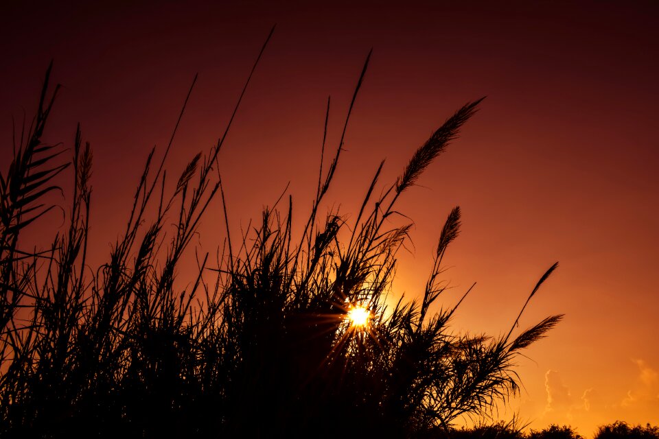 Nature colorful evening