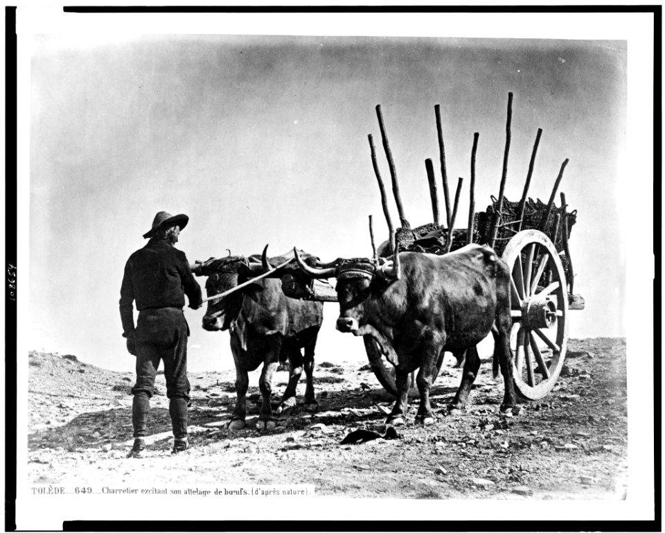 Tolèdo. Charretier excitant son attelage de boeufs (d'après nature) LCCN94511870