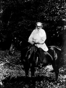 Tolstoï à cheval, Meurisse