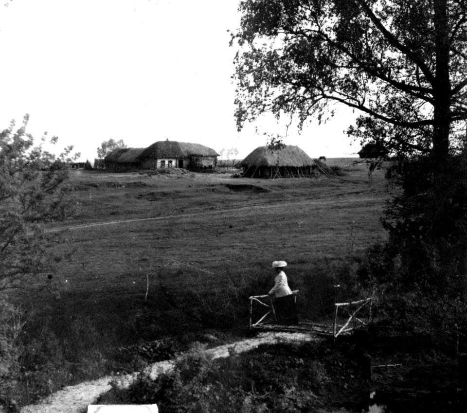 Tolstoi in the garden in Iasnaia Poliana