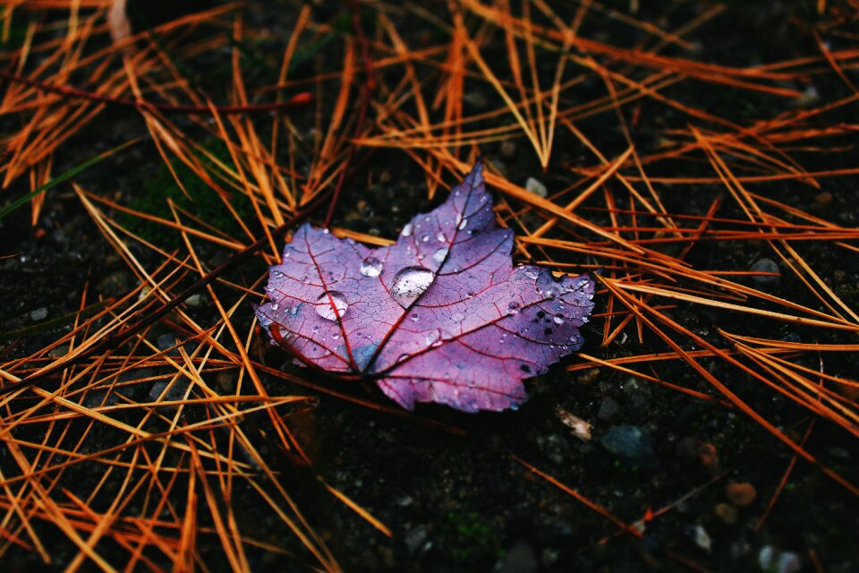 Raindrops outdoor stick