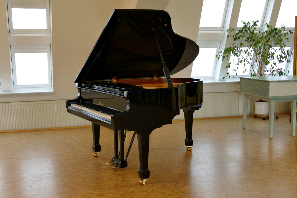 Piano bechstein grand piano photo