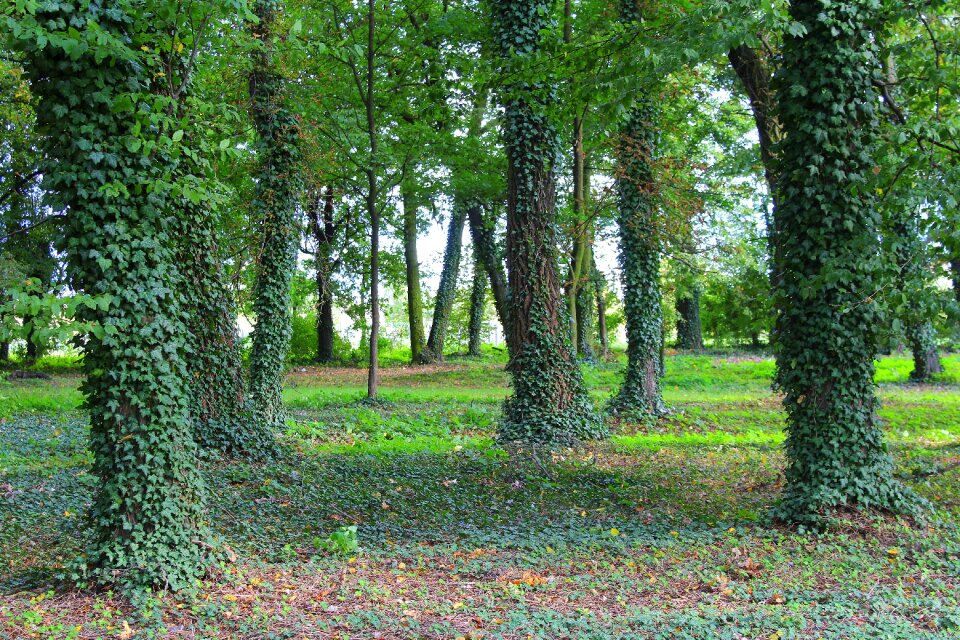 Spacer the environment view