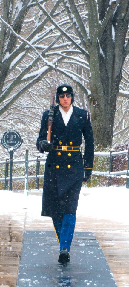 Tomb of the Unknown Soldier - guard in snow (16215213052)