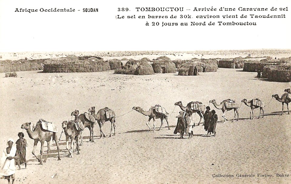 Tombouctou-Arrivée d'une caravane de sel (AOF)