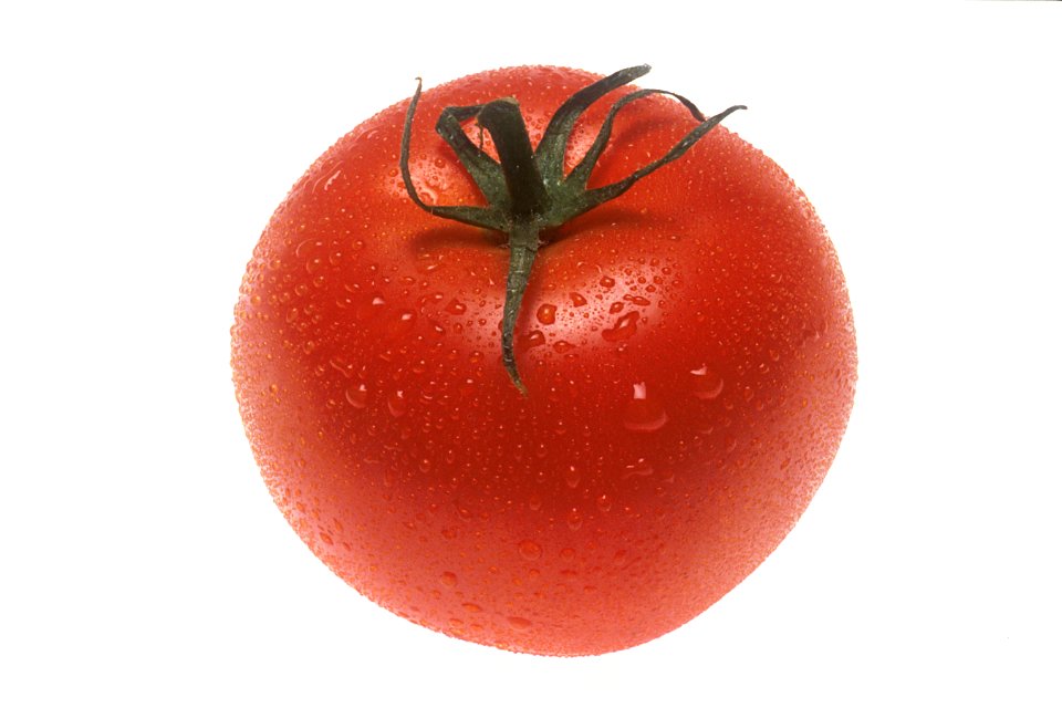Tomato (1)