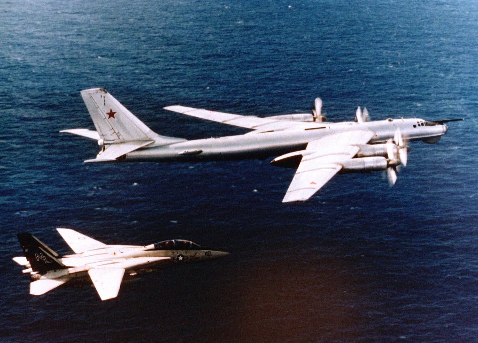 Tomcat escorts Bear