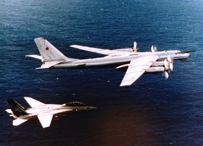 Tomcat escorts Bear