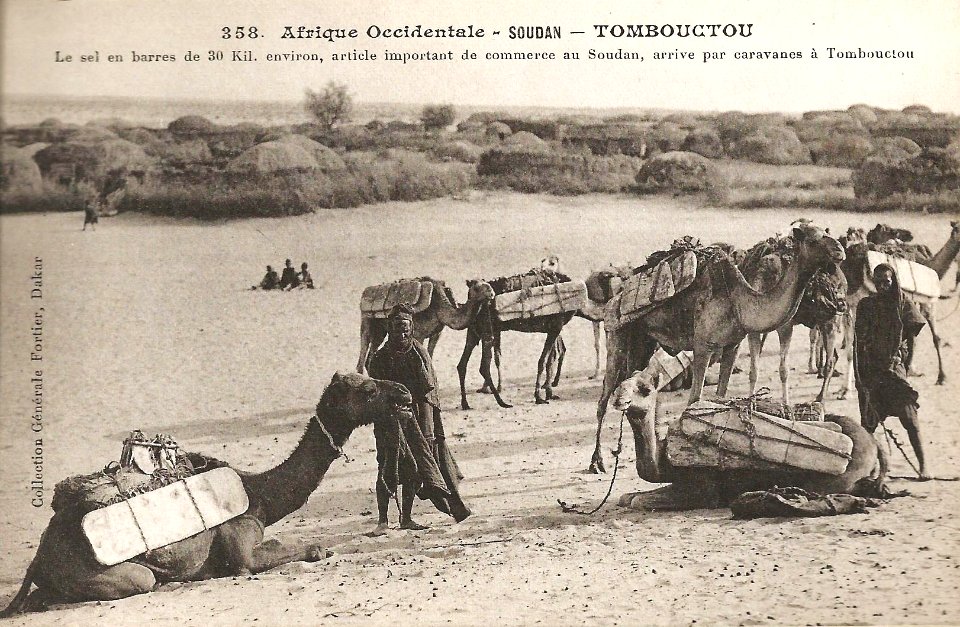 Tombouctou-Le sel en barres arrive par caravanes