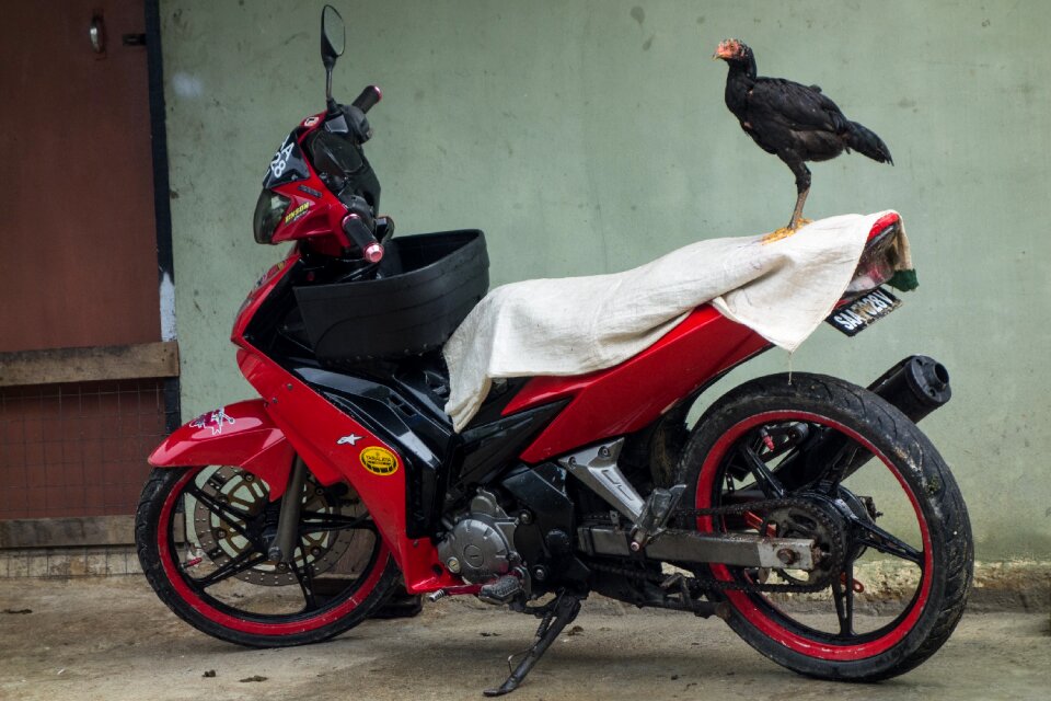 Motorbike red black