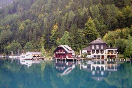 View forest water